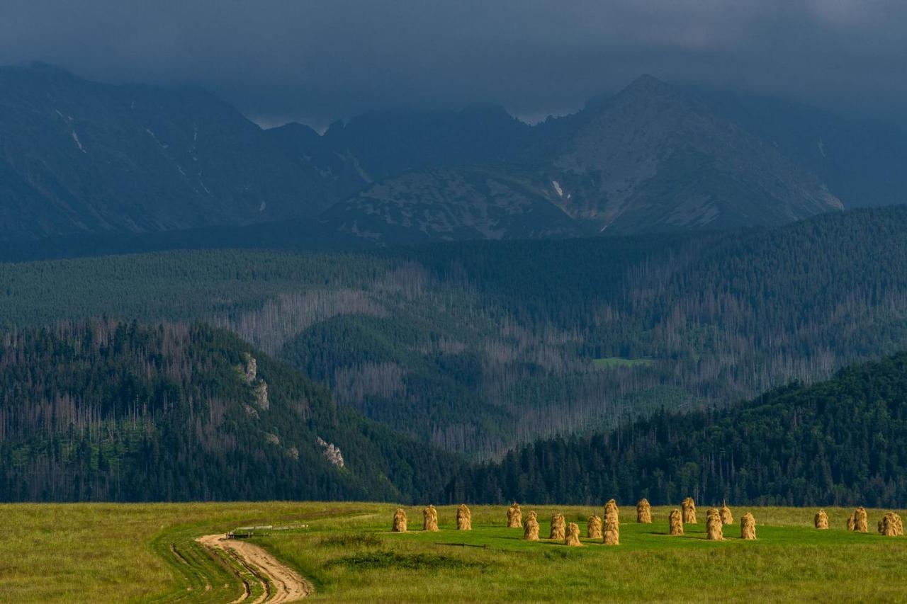Willa Rzepicha Zakopane Zewnętrze zdjęcie