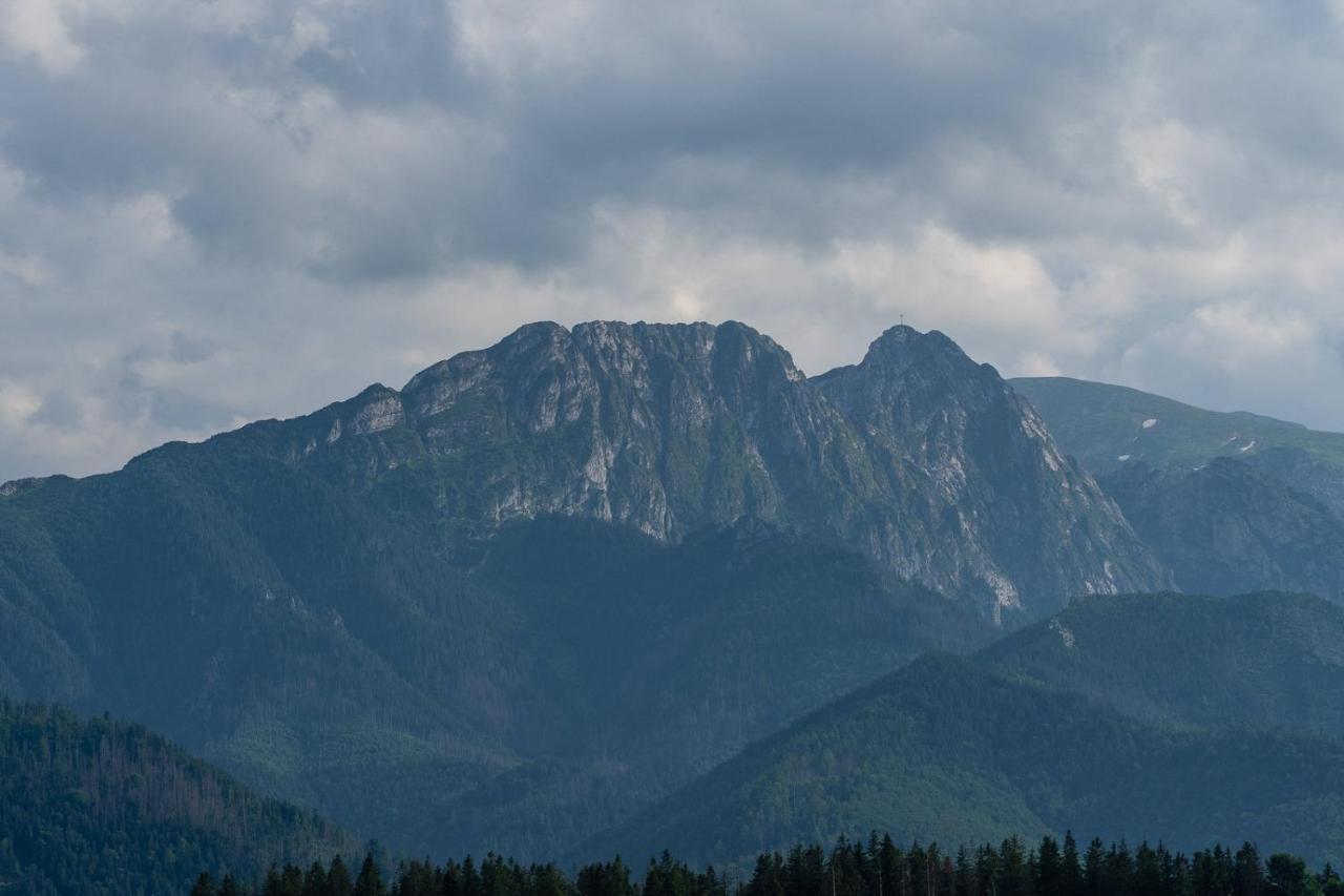 Willa Rzepicha Zakopane Zewnętrze zdjęcie