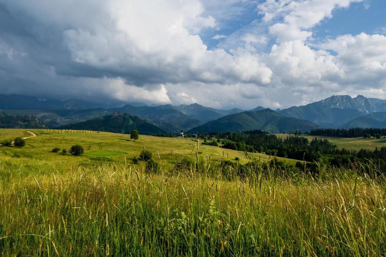 Willa Rzepicha Zakopane Zewnętrze zdjęcie