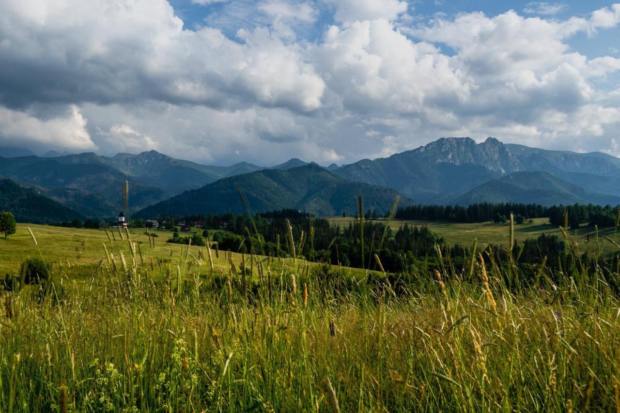 Willa Rzepicha Zakopane Zewnętrze zdjęcie