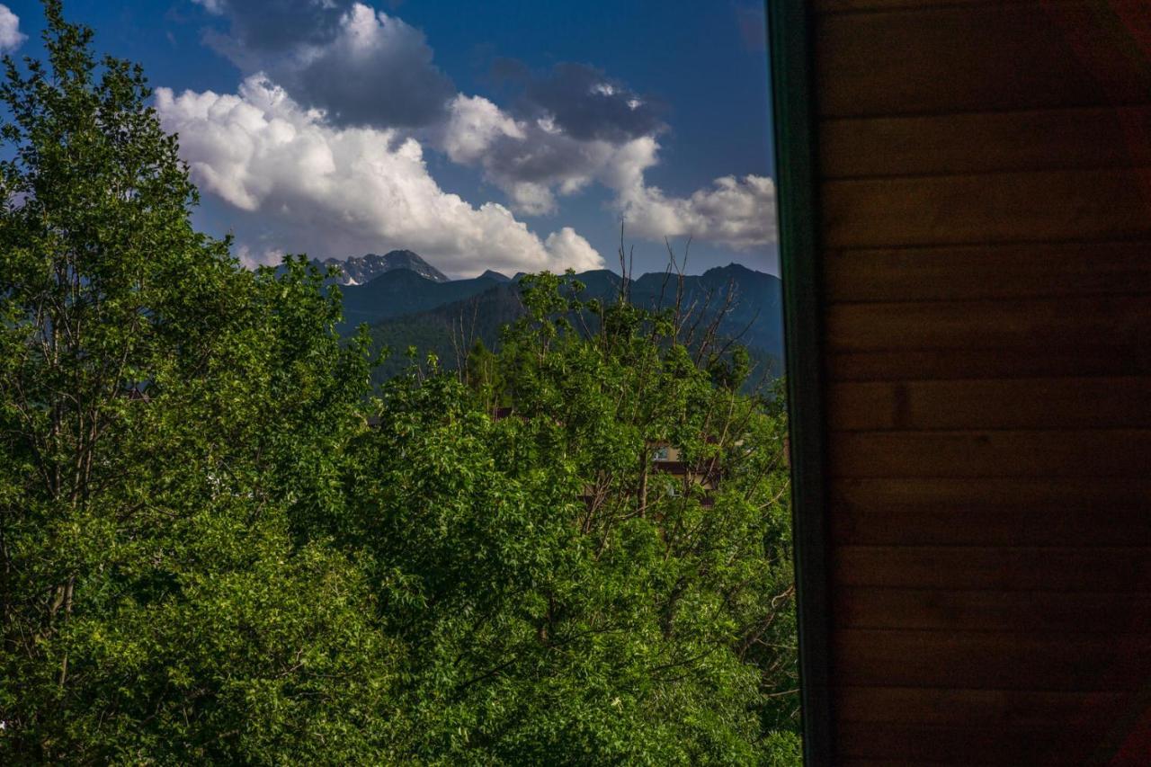 Willa Rzepicha Zakopane Zewnętrze zdjęcie