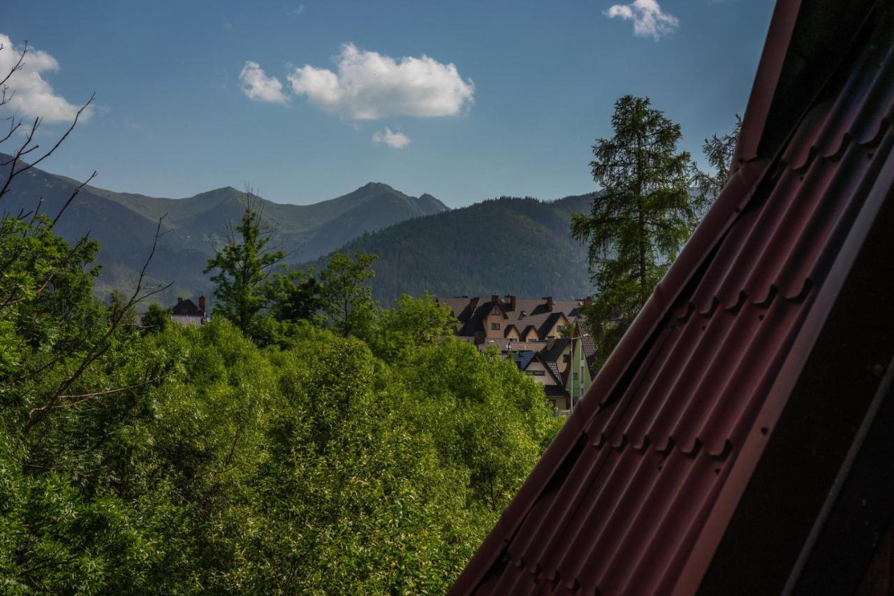 Willa Rzepicha Zakopane Zewnętrze zdjęcie